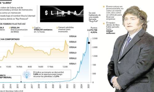 POLEMICO EMPRENDIMIENTO QUE IMPULSO MILEI POR X