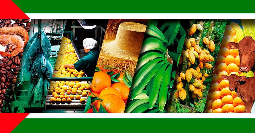 La agroindustria y la transformación de Manabí